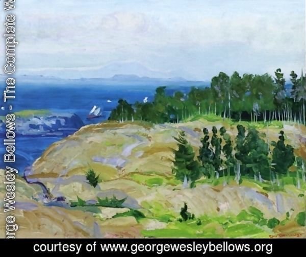 George Wesley Bellows - Green Point