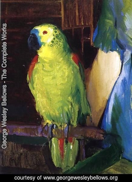 George Wesley Bellows - Parrot